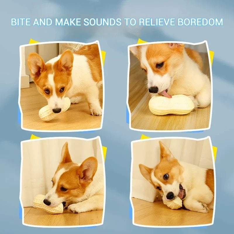 Pet Toys Peanut