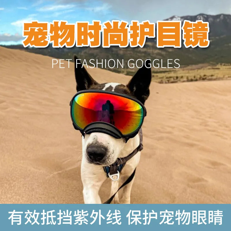 Medium And Large Goggles