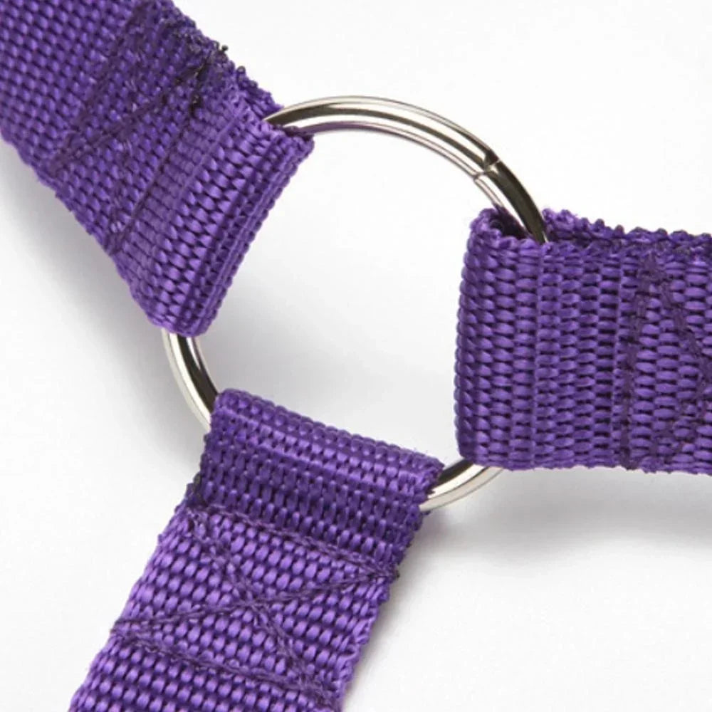 Adjustable Pet Car Seat leash