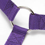 Adjustable Pet Car Seat leash