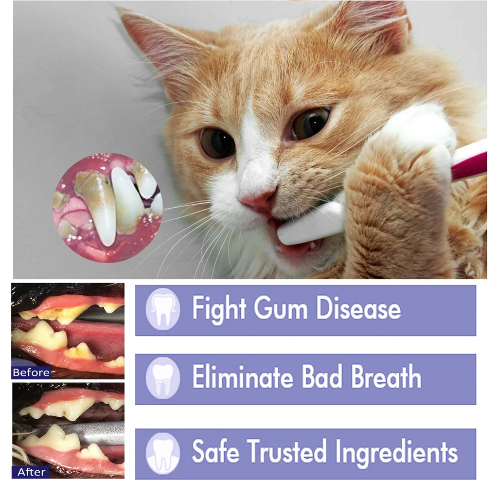 Pet Toothpaste Reduce Tartar Remove Dental Stain Eliminate Bad Breath