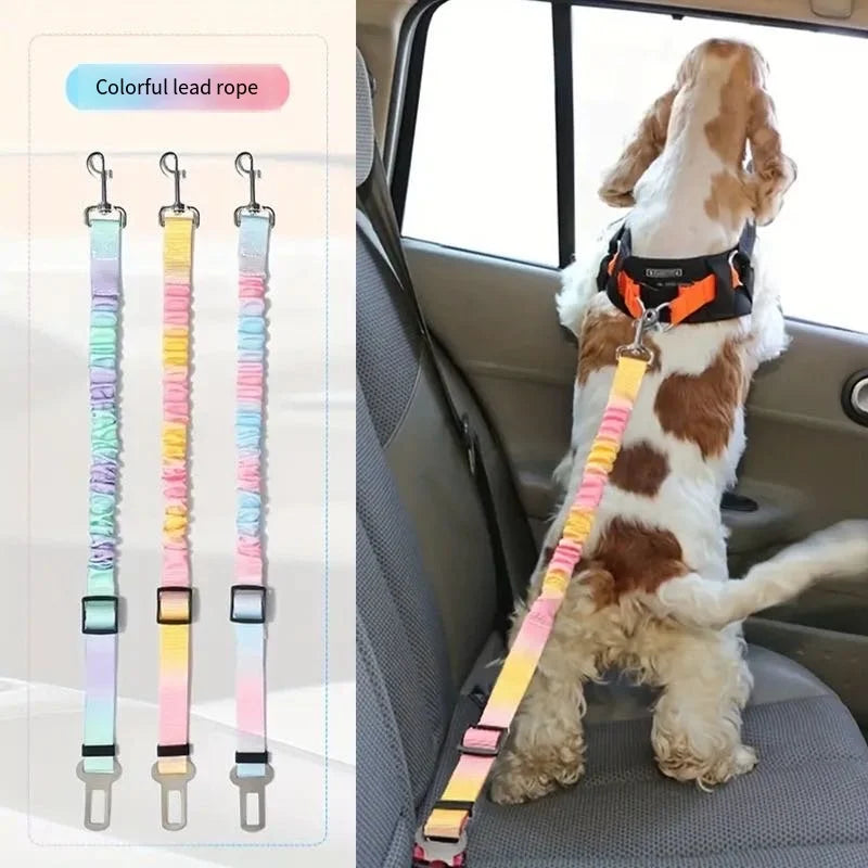 Pet Safety Belt for car rides