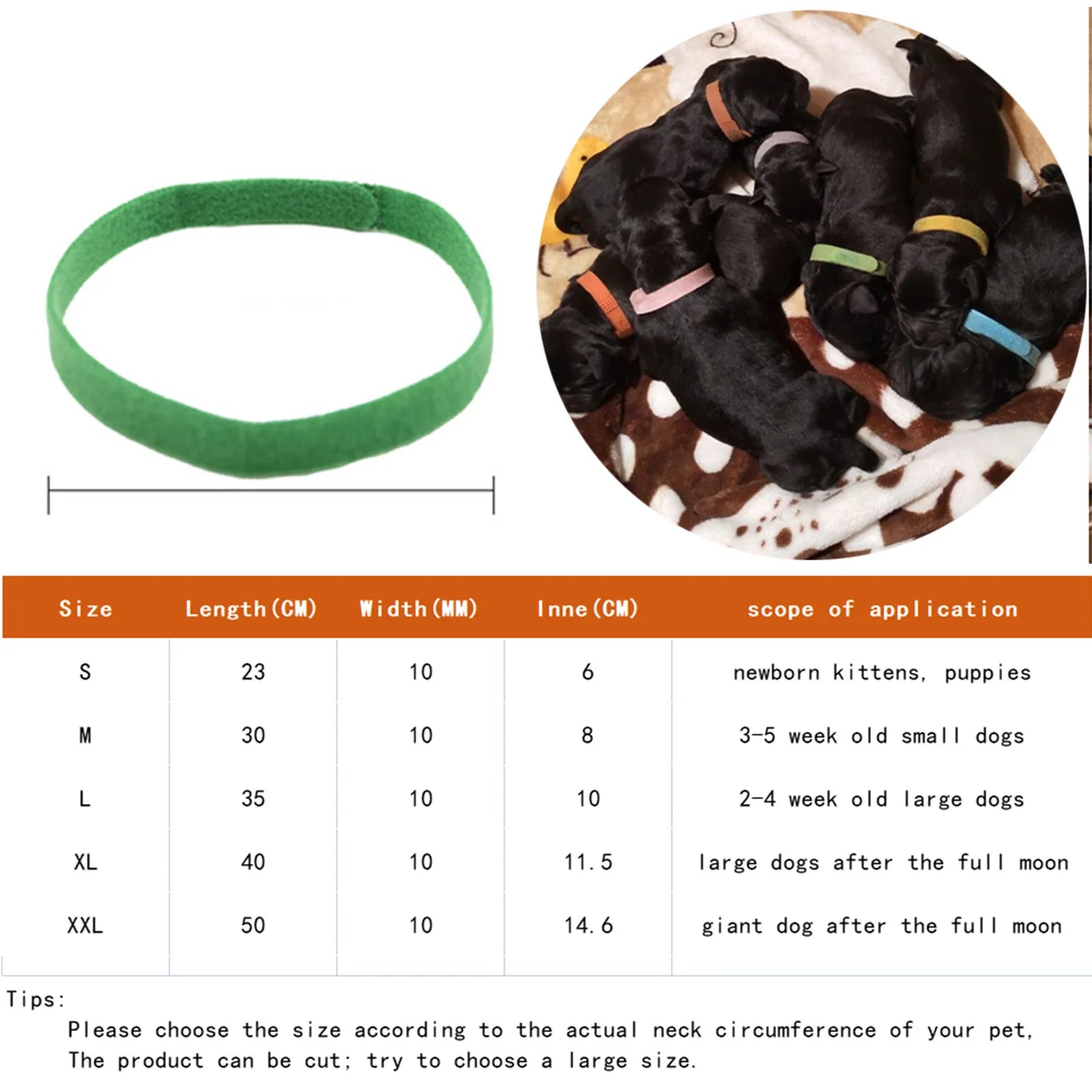 12 pack puppy/kitten collar set