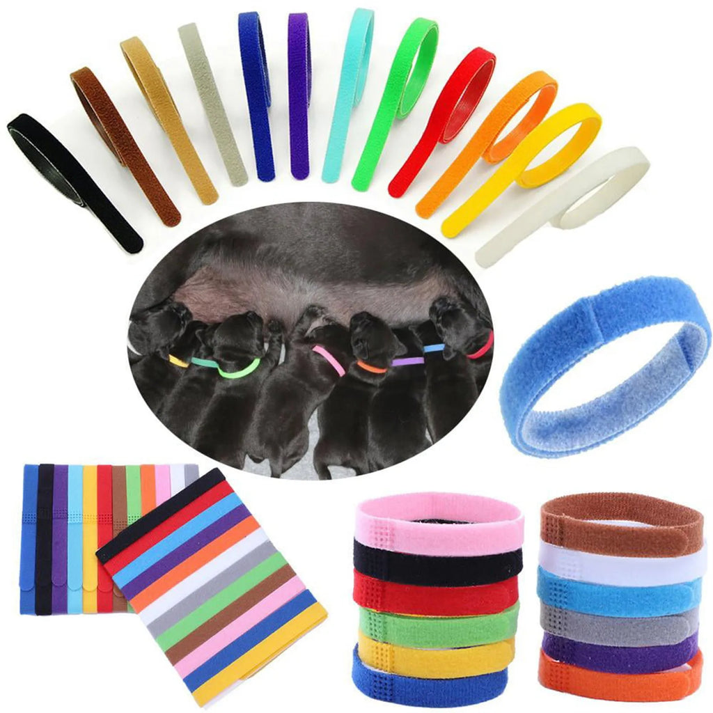 12 pack puppy/kitten collar set