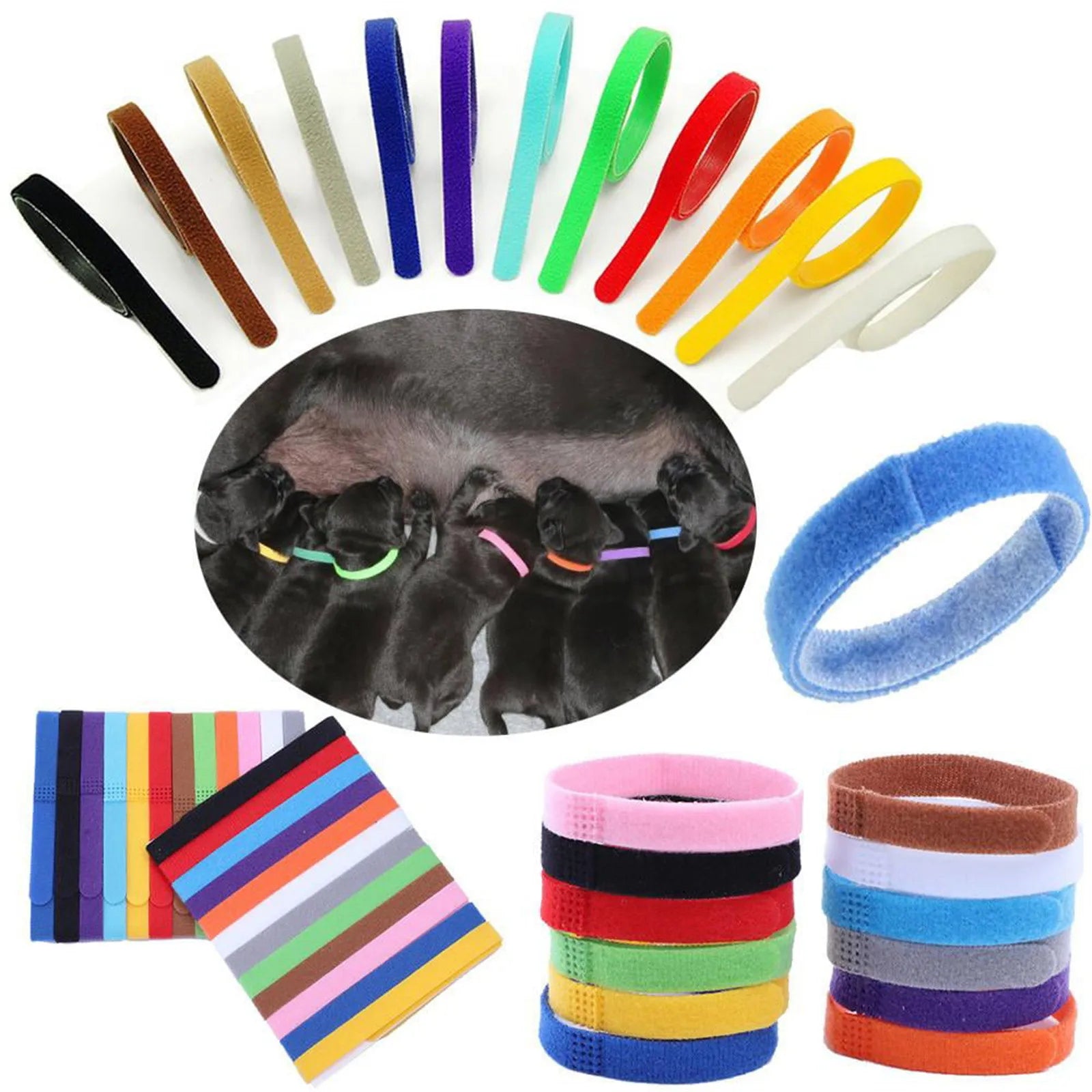 12 pack puppy/kitten collar set