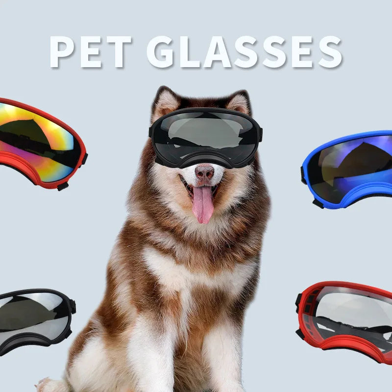 Medium And Large Goggles