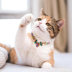 Pet Wedding Pearls Collar