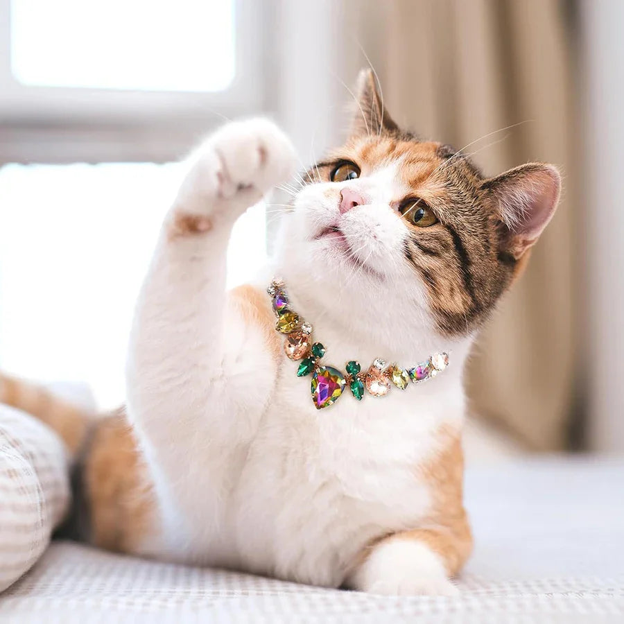 Pet Wedding Pearls Collar