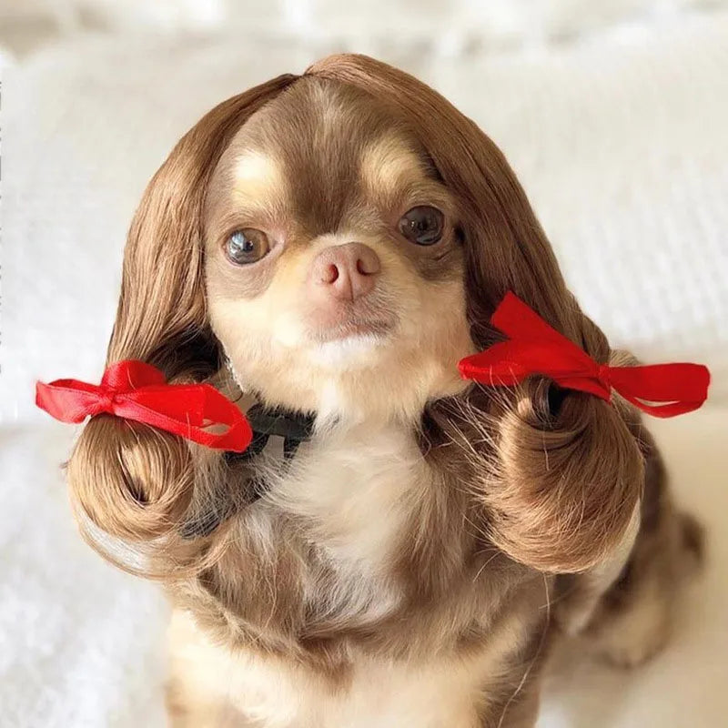 Pet Cosplay Wigs