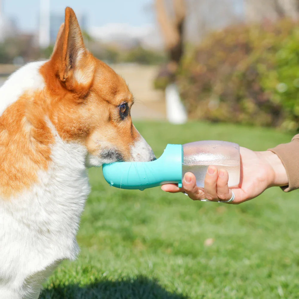 Pet Water Bottle 300ML Drinking Bowls