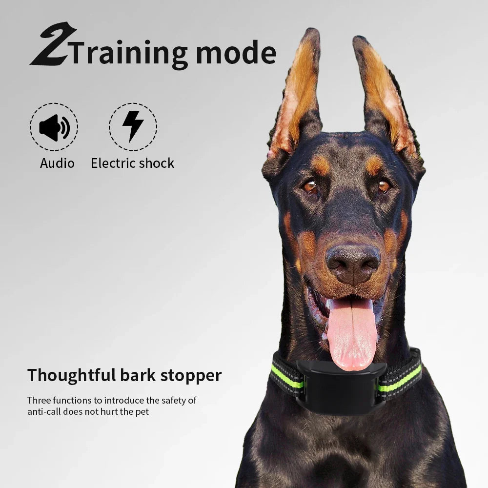 Dog Training Collars
