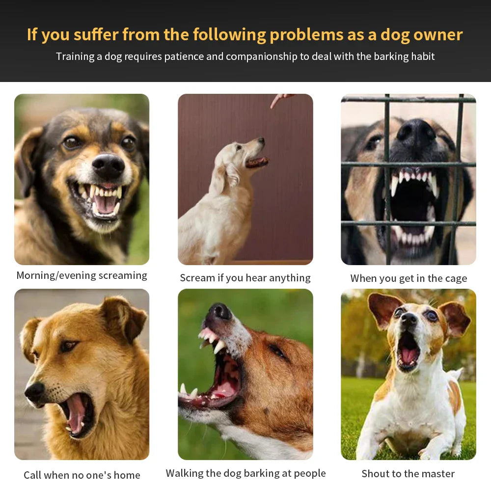 Dog Training Collars