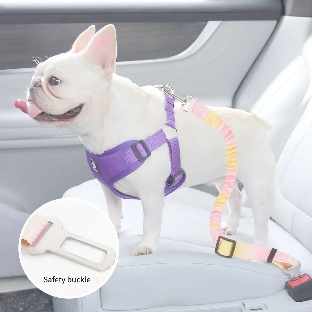 Pet Safety Belt for car rides