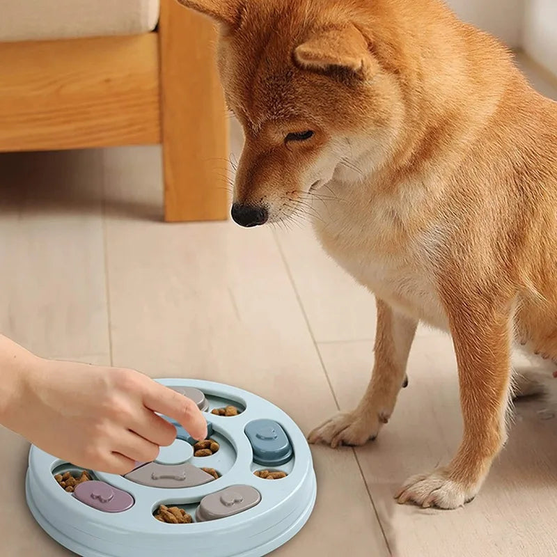 Dog Food Educational Bowl, Slow Food Training