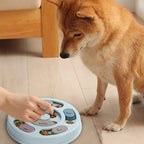 Dog Food Educational Bowl, Slow Food Training