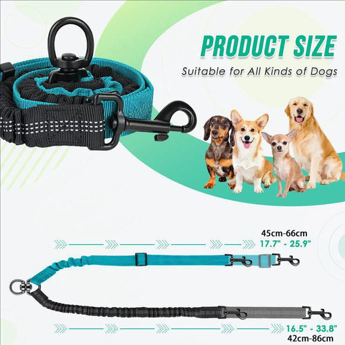 Double Leash