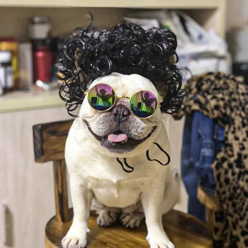 Pet Cosplay Wigs