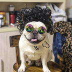 Pet Cosplay Wigs