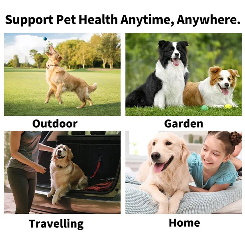 Pet Teeth cleaning wipes