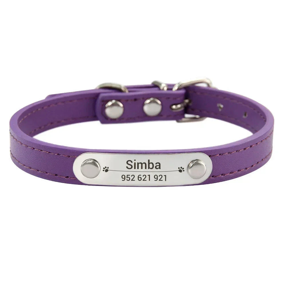 Personalized Dog Collar