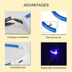 Pet LED Collar