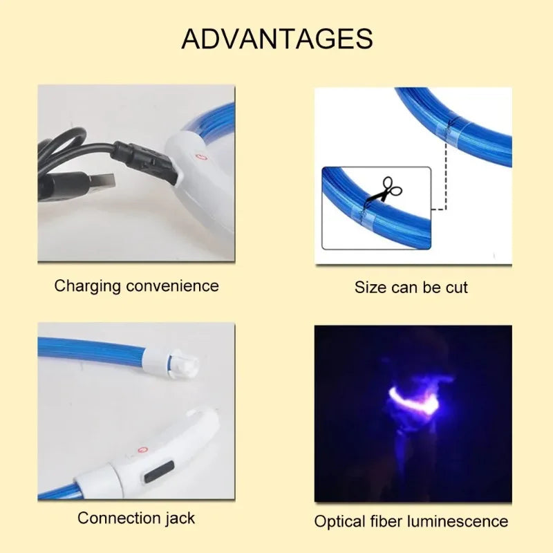 Pet LED Collar