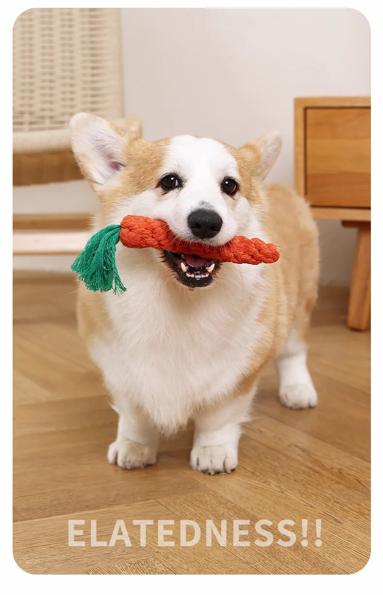 Durable chew-resistant pet toys