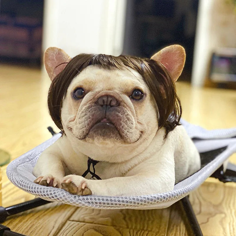 Pet Cosplay Wigs