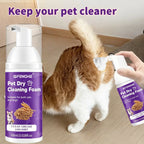 Pet Dry Shampoo Deodorizing