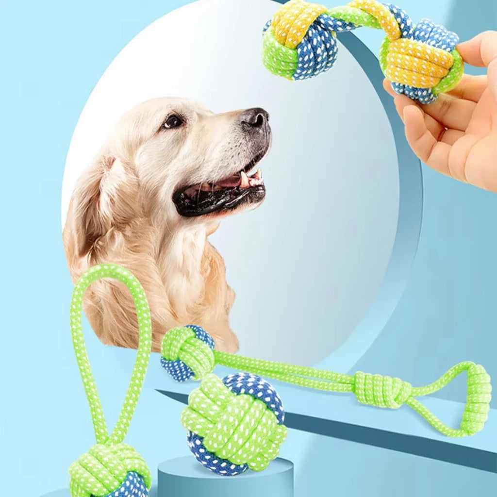 Dog Toys
