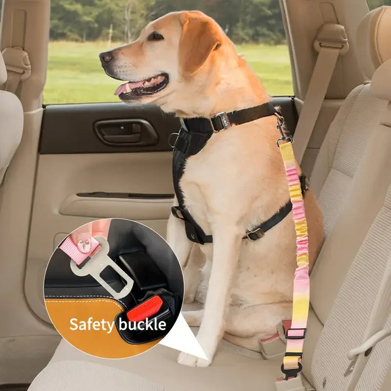 Pet Safety Belt for car rides