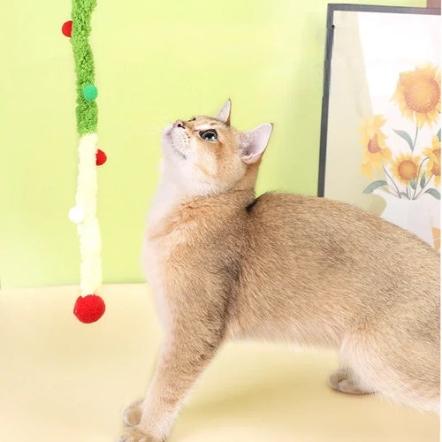 Cat Interactive Teaser Toy
