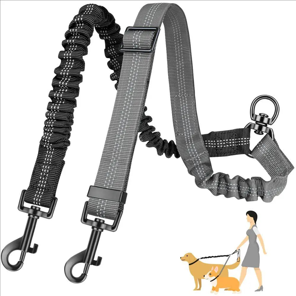 Double Leash