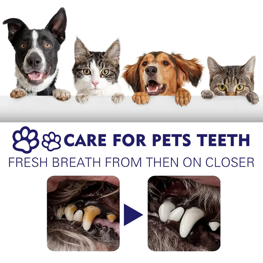 Pet Toothpaste Reduce Tartar Remove Dental Stain Eliminate Bad Breath