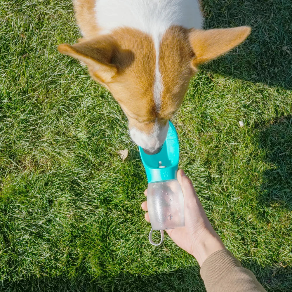 Pet Water Bottle 300ML Drinking Bowls